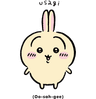 usagi